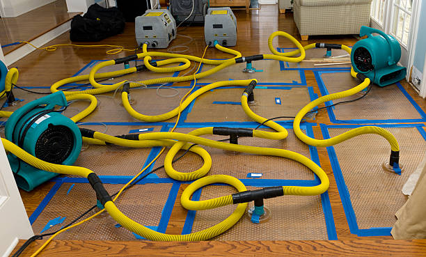 Professional Burst Pipe Water Damage technician working in Blacksburg, VA
